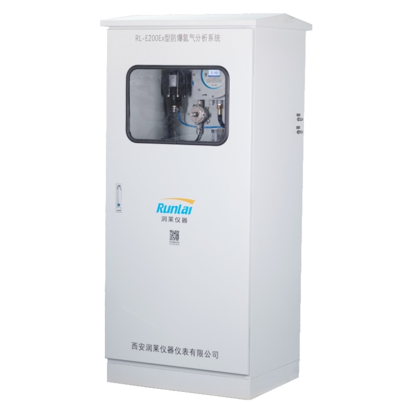 RL-E200Ex型防爆氢气分析系统